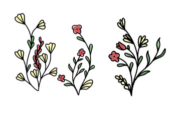 Set of handmade floral elements, plants and flowers. Sketchy design elements. Line art, continuous line, elegant outline.
