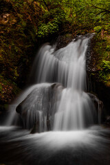 Obraz premium Waterfall in black forest, baden-wurttemberg, germany 