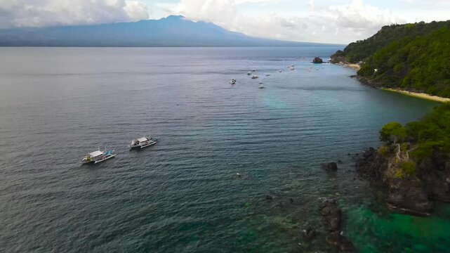 Apo Island. Philippines.  