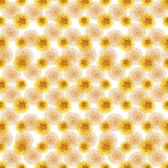Watercolor seamless pattern with stylized buds, flowers and leaves of the Dandelion plant