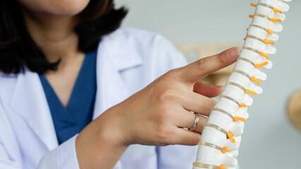 close up special chiropractor woman touch on back on spine anatomy and diagnose about symptom and treatment step by hospital program for health care lifestyle people concept 