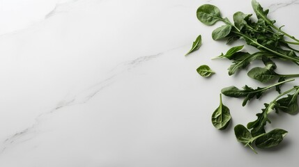 A white background with a bunch of green leaves on it