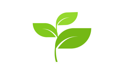 Green leaf, flower logo vector icon illustration Symbol  eco, plant organic, natural bio concept