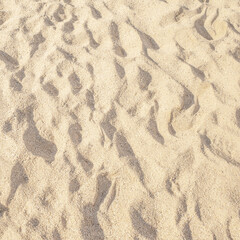 Summer beach sand background with natural wave pattern. Sand texture. Sunny gold sandy beach wallpaper