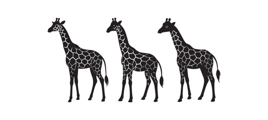 set of giraffe silhouette, black and white silhouette, vector and illustration