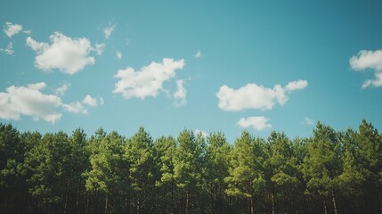 Fototapeta premium Lush green forest under a bright blue sky with fluffy clouds, evoking a serene natural landscape