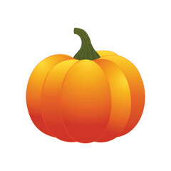 pumpkin isolated on white background