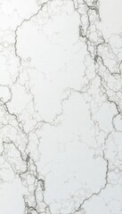 Fototapeta premium Vast, pristine white marble backdrop; perfect for design , bright white background, material, veined