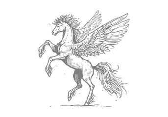 Pegasus winged horse hand drawn sketch vector