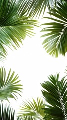 Lush Green Palm Fronds Frame White Background Tropical Summer Nature Design