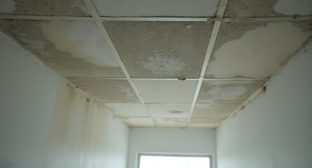Water Damaged Ceiling Tiles in Building