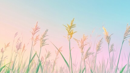 Pastel Sunset Meadow: Serene Grassland at Golden Hour