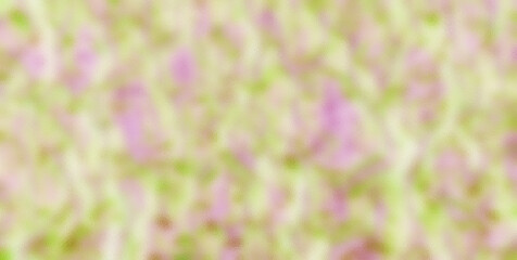 Blank Parchment with a Vintage Texture and Grunge Pattern