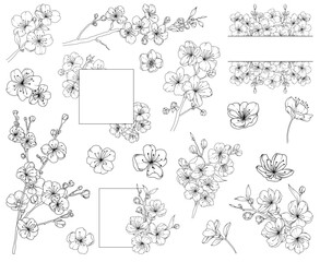 Collection of spring cherry blossom flowers, branches and frames,  hand drawn botanical line drawing, vector floral line art illustration for wedding, logo, advertising, packaging