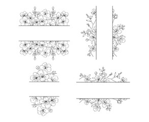 Collection of cherry blossom flowers split frames, hand drawn botanical line drawing, vector floral line art illustration for wedding, logo, advertising, packaging
