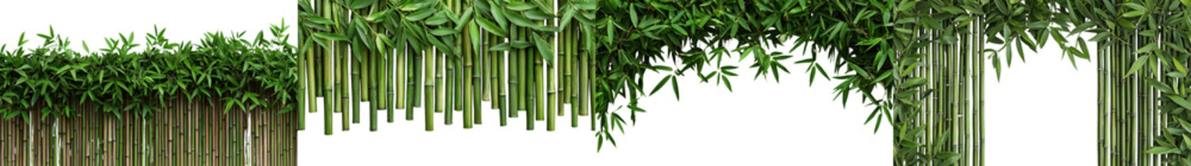 Obraz premium Vibrant Green Bamboo Forest with Lush Foliage in Tropical Landscape