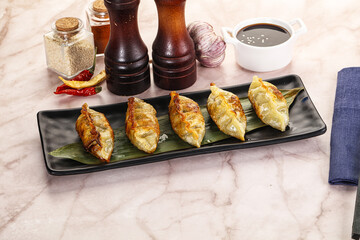 Fried Japanese stuffed dumplings - Gyoza