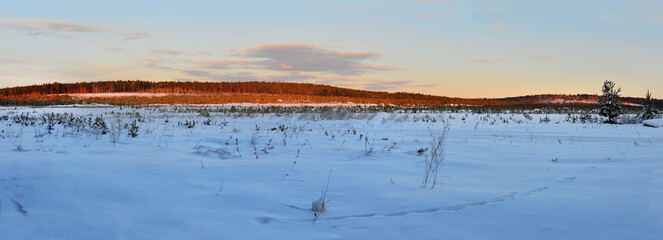 Panoramic view of snow-covered field and forest  in the evening.