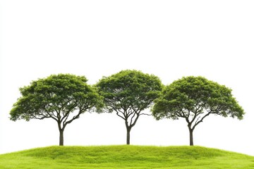Fototapeta premium Three Lush Green Trees on a Hill Against a Bright White Background