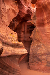 Vertical view of the entrance to the red sandstone Upper Antelope Canyon, Lake Powell Navajo Tribal Park, Page, Arizona, USA