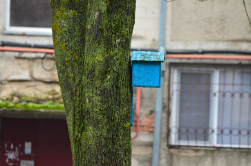 Blue birdhouse in a tree, side view.