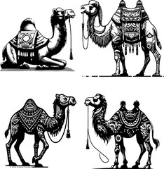 camel , camel vector set, camel set