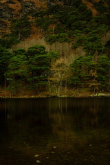 Ruhige Natur in Irland