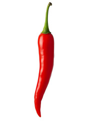 Single vibrant red chili pepper hanging against a white background