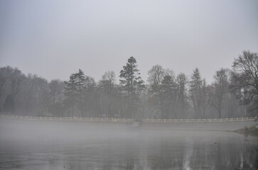 Fog by the lake, with the silhouettes of trees visible through the mist.