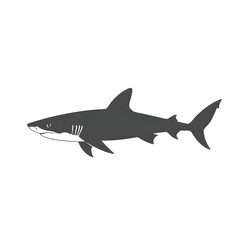 Fototapeta premium shark