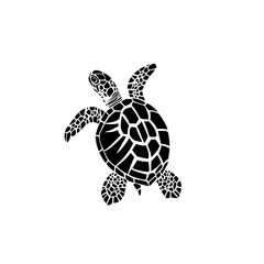 Naklejka premium black and white turtle