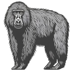 Obraz premium animal