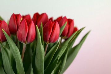 Fototapeta premium A vibrant bouquet of red tulips showcasing their delicate petals and lush green leaves.