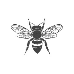 Obraz premium vector illustration of a wasp