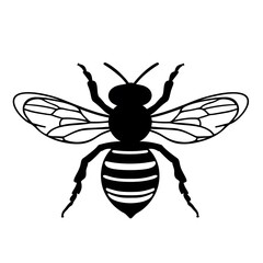 Fototapeta premium fly isolated on white background