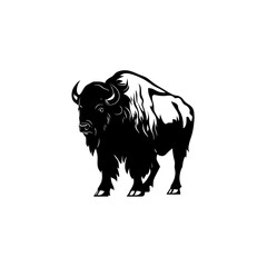 buffalo isolated on white