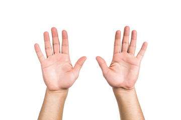 Two hands showing open palms isolated on transparent white background