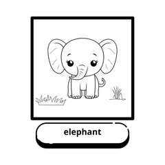 colorful animal pictures