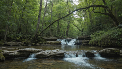 Obraz premium waterfall in the forest