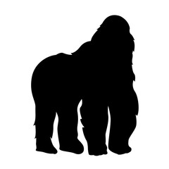 Gorilla Silhouette 