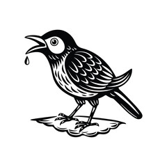 Fototapeta premium bird drinking water.eps