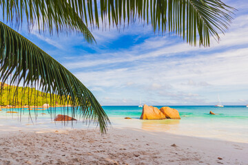 Coastal view with palm tree branches and white sand