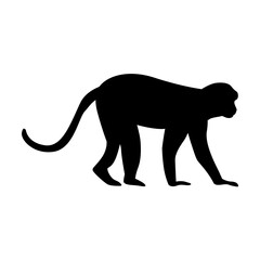 Monkey Silhouette 