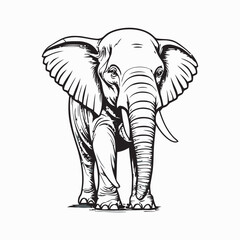 elephant cartoon isolated on white