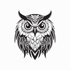 Obraz premium head of an owl