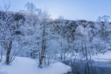 冬の上高地スノーハイク 田代池朝日にキラキラ輝く霧氷