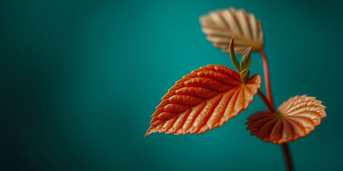 Obraz premium A leaf with a stem is shown in a green background. The leaf is orange and has a shiny appearance