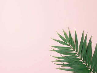 Tropical Elegance on a Soft Pink Background