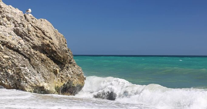Nerja town, a resort of The Costa del Sol seaside region in Andalusia in the south of Spain. Ocean waves crashing against a rocky shore with a seagull perched on a rock. Slow motion footage.