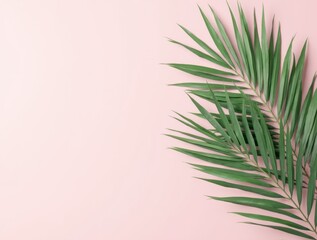 Tropical Elegance on a Soft Pink Background